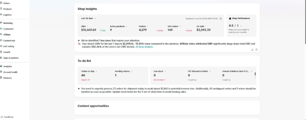 TikTok Shop Insights & 28-Day Velocity